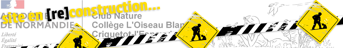 Club Nature - Collège L'Oiseau Blanc
